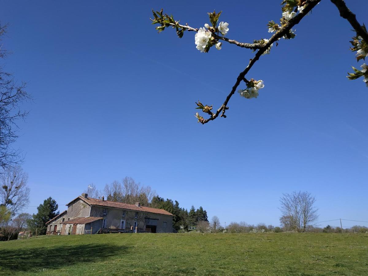 Maison Au Calme Avec Vue Etang Clesse  Bagian luar foto