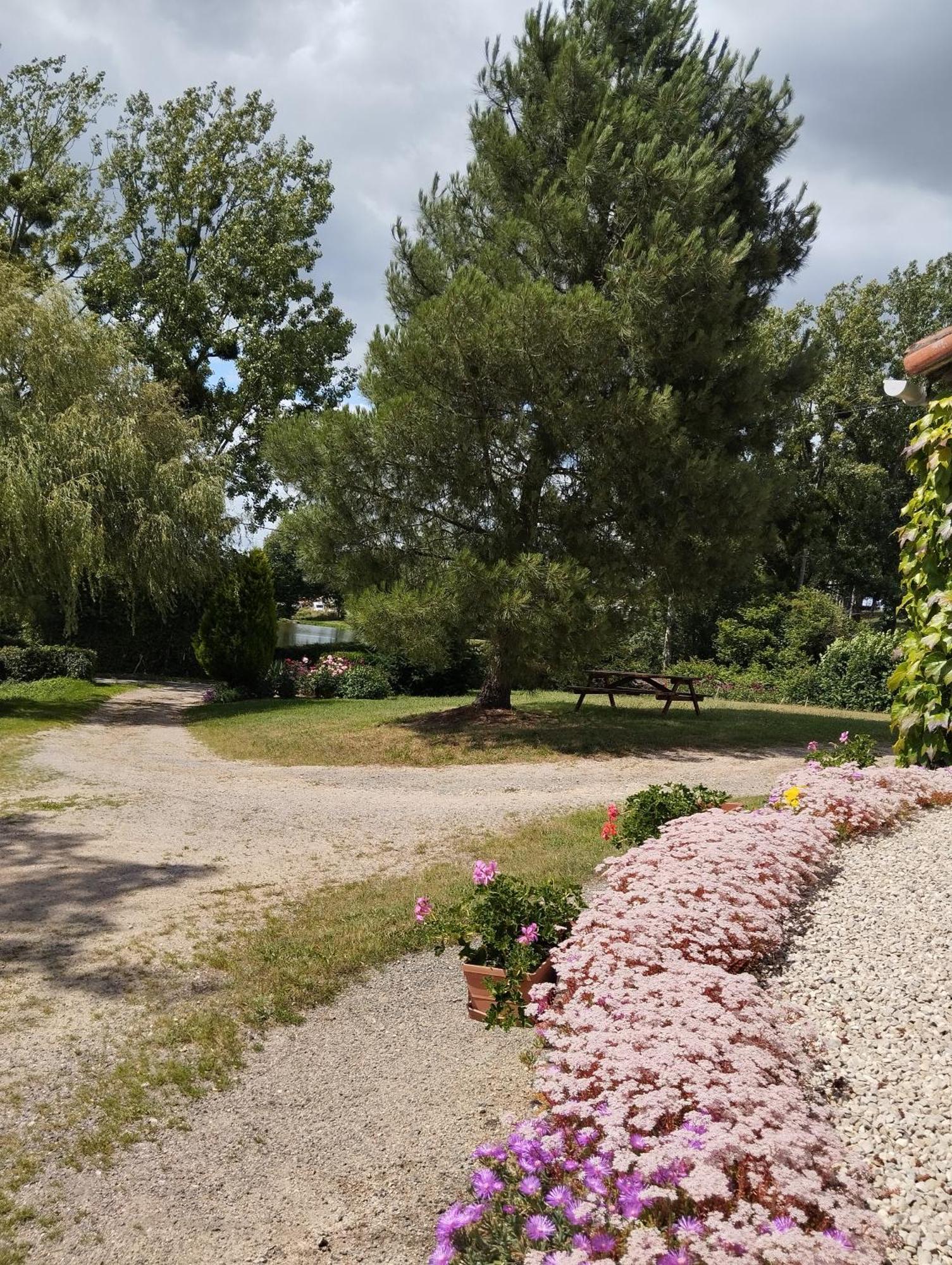 Maison Au Calme Avec Vue Etang Clesse  Bagian luar foto